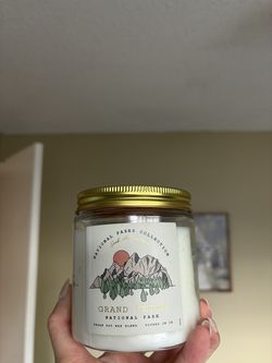 11 oz soy wax candle- World Market