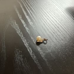 14k White Gold Dolphin And Pearl Pendant 