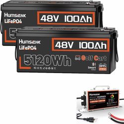 HumsiENK 48V 100AH LiFePO4 Battery