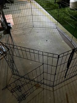 Dg cage