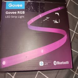 Govee LED Strips 100ft 