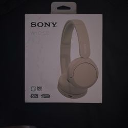 Sony WH-CH520 Headphones