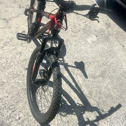 Bike 24”