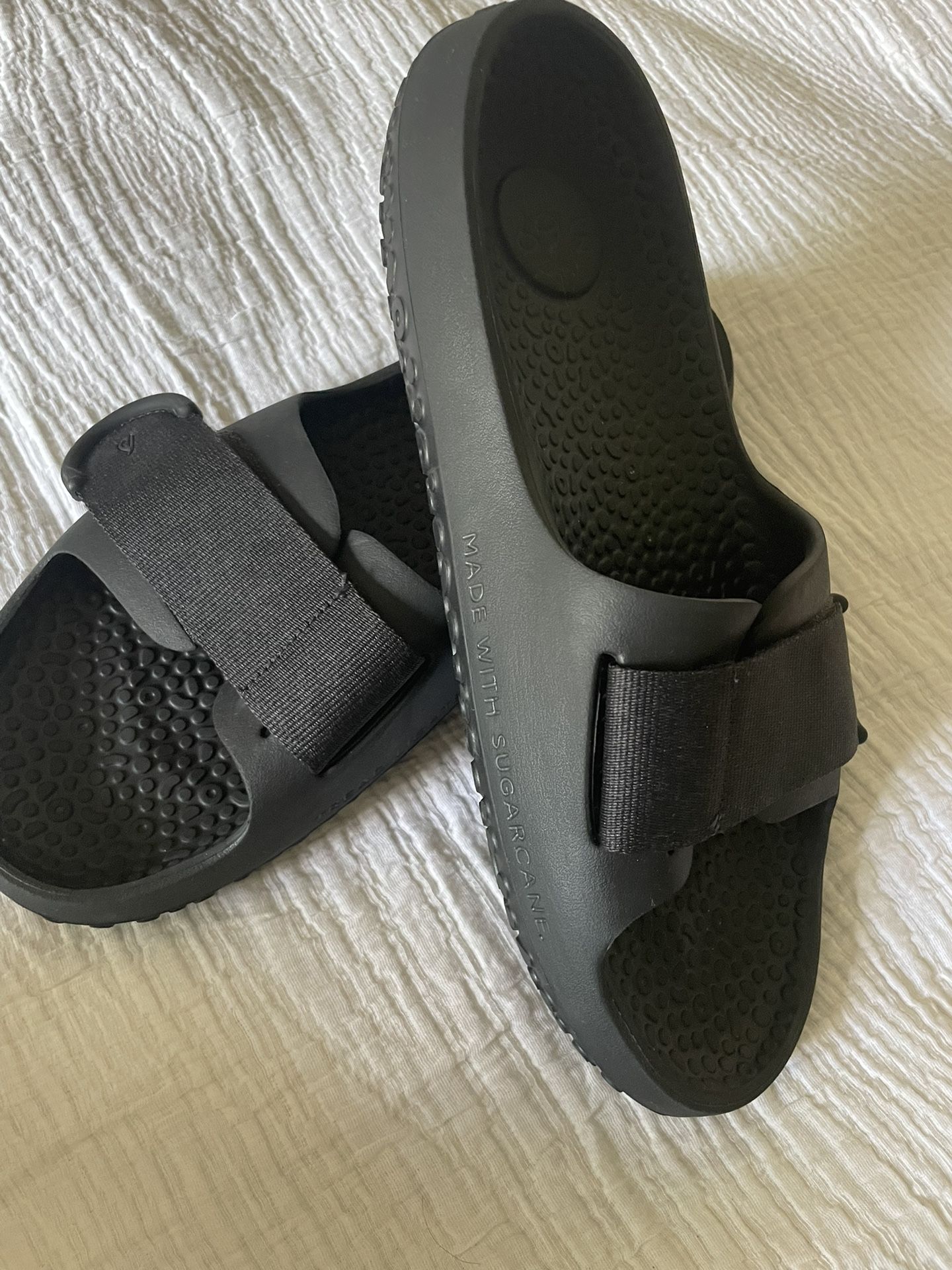 AllBirds Sugar Slides