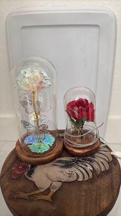 Belle rose Disney