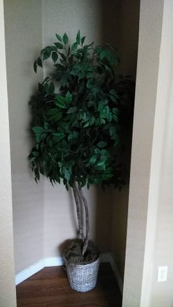 Tree, 6ft ficus arificial tree.
