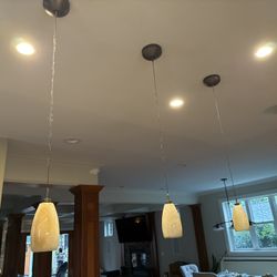 Lighting Fixtures (all 3 Sold Together) 
