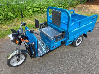 Cargo Trike 60V Electric 800W Motor