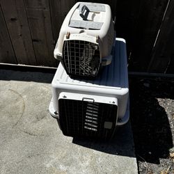 Cat And Dog Crate 
