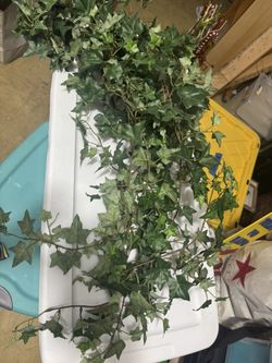 Artificial ivy 