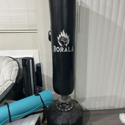 Standing Punching Bag with gloves