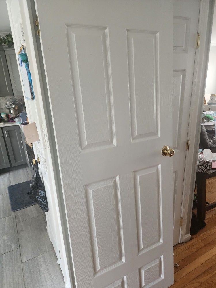 80×30 Interior Door