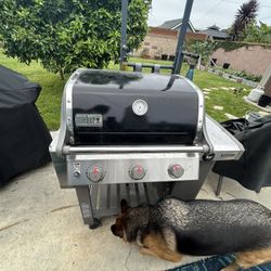 Webber Genesis II E3-10 Gas Grill BBQ