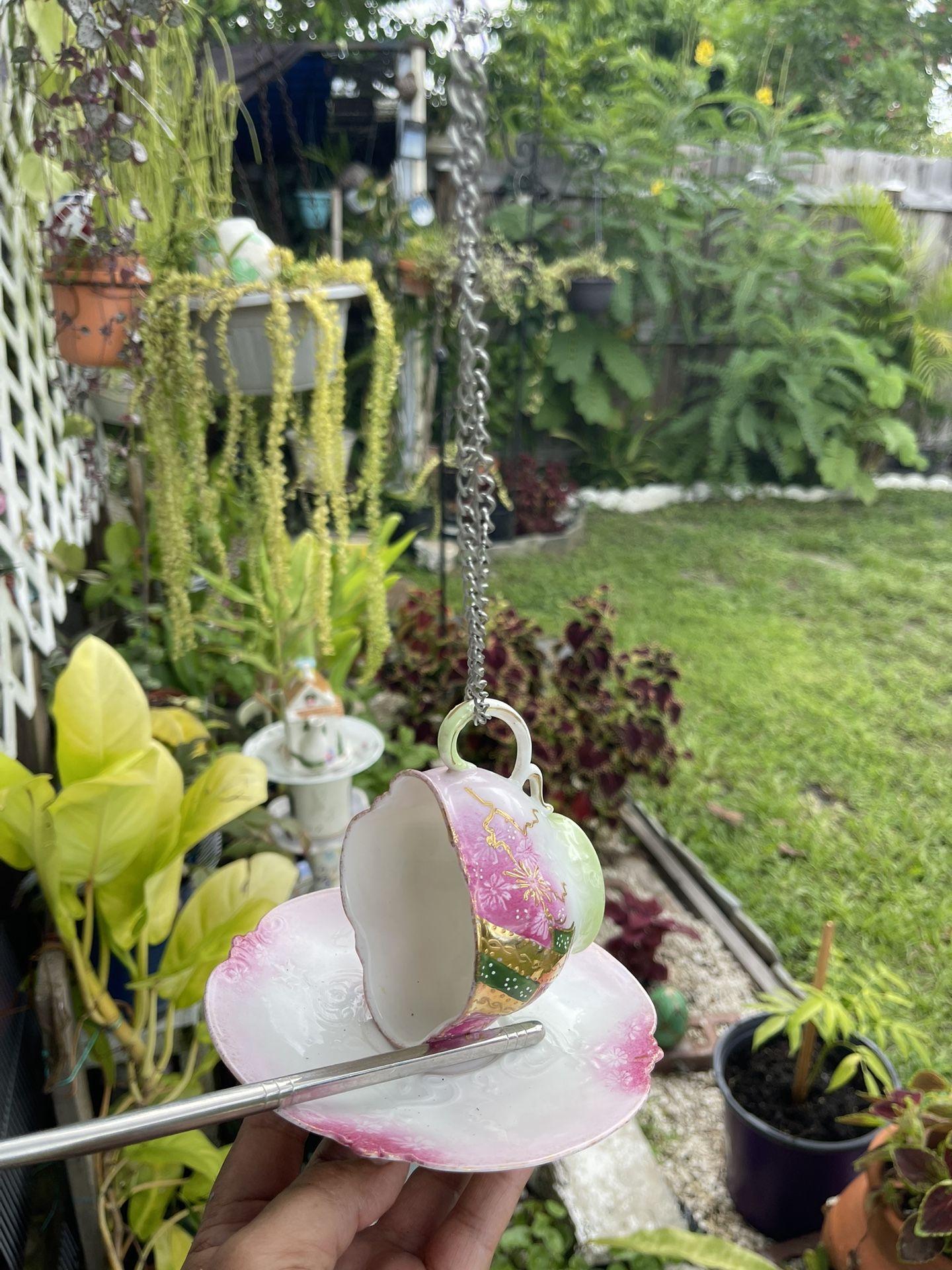 Bird feeder 🐦⬛🦋