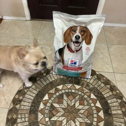Science Diet ,Perfect Weight Adult Dog Food. NEW