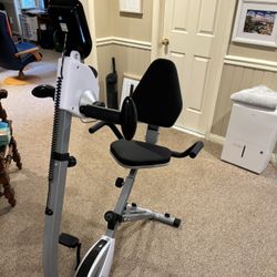 Stamina Recumbent Exercise Bike with Upper BodyExerciser