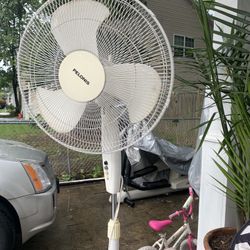 Fan