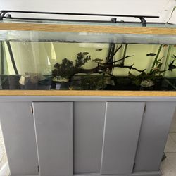 60 Gallon Fish Tank and Stand