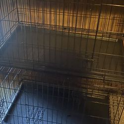 Two Dog Crates