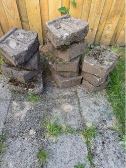 12 free bricks