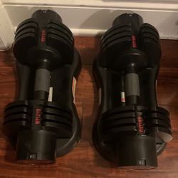 Adjustable dumbbells, set of 2 with trays