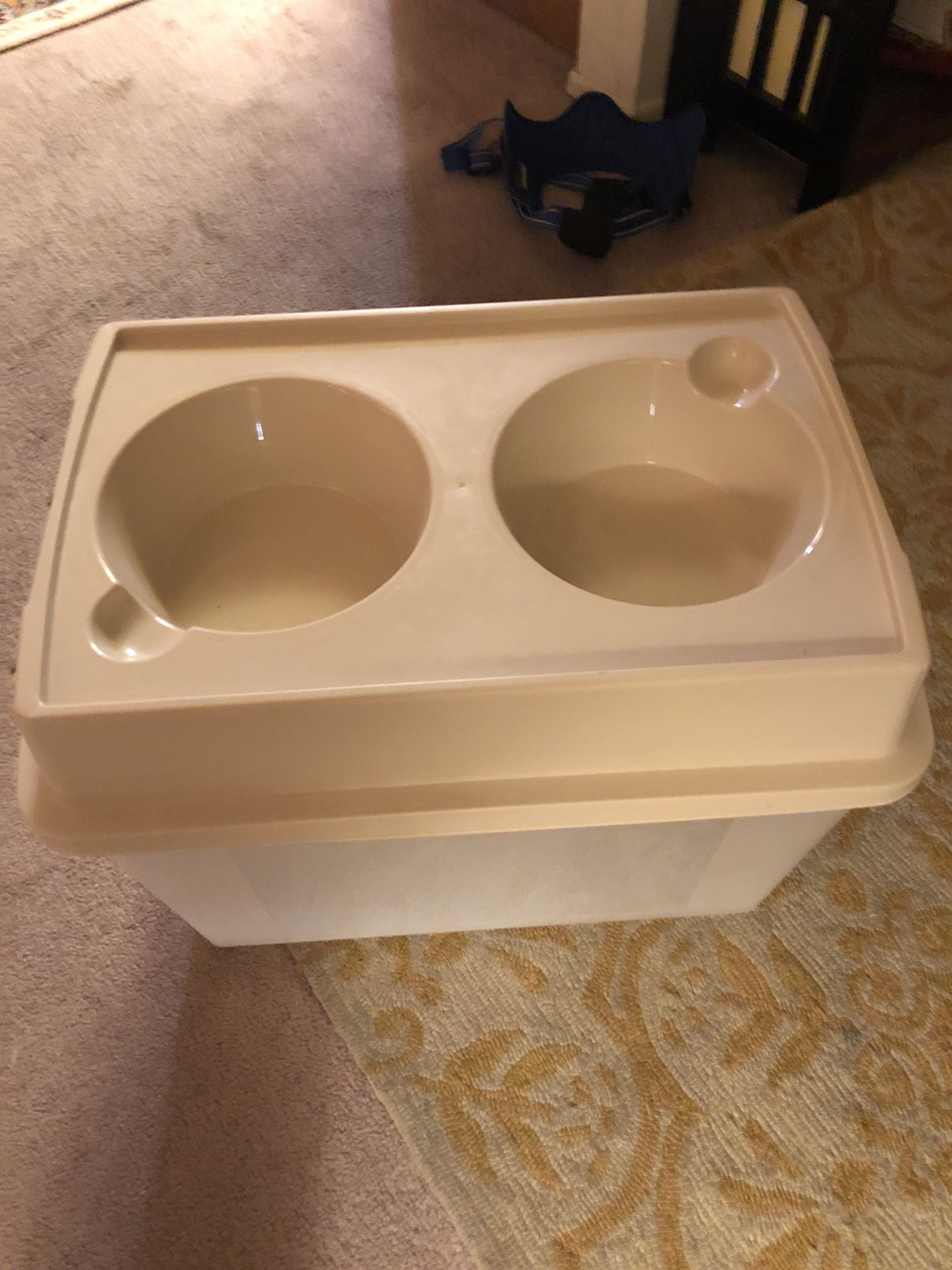 elevated dog bowl with airtight container