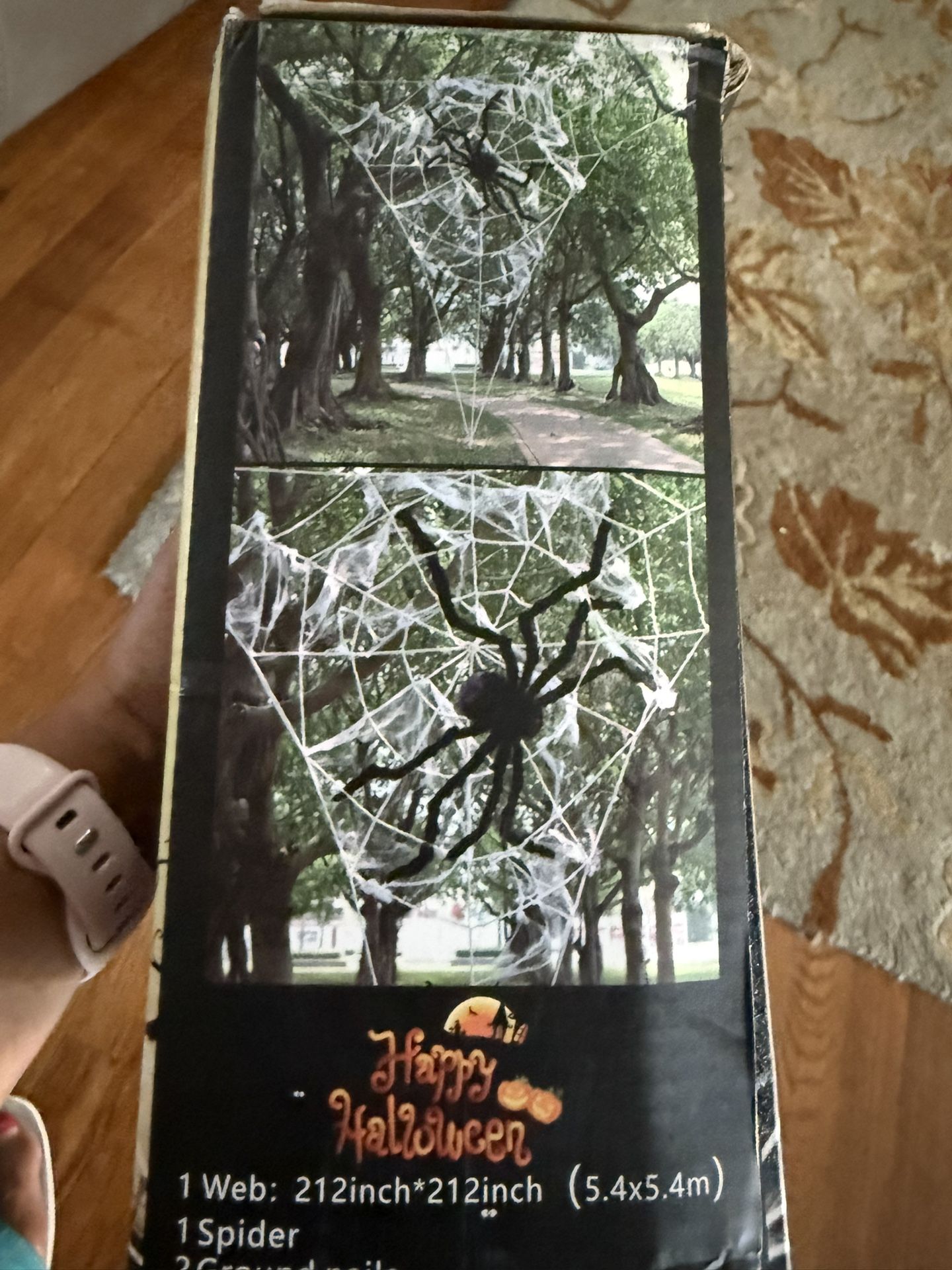 Halloween Spider Web