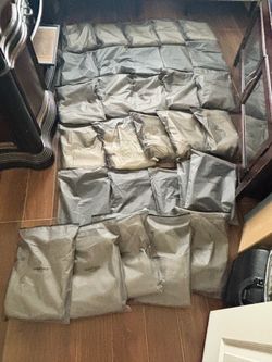 Essential shorts