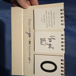 Wedding Count Down Sign 