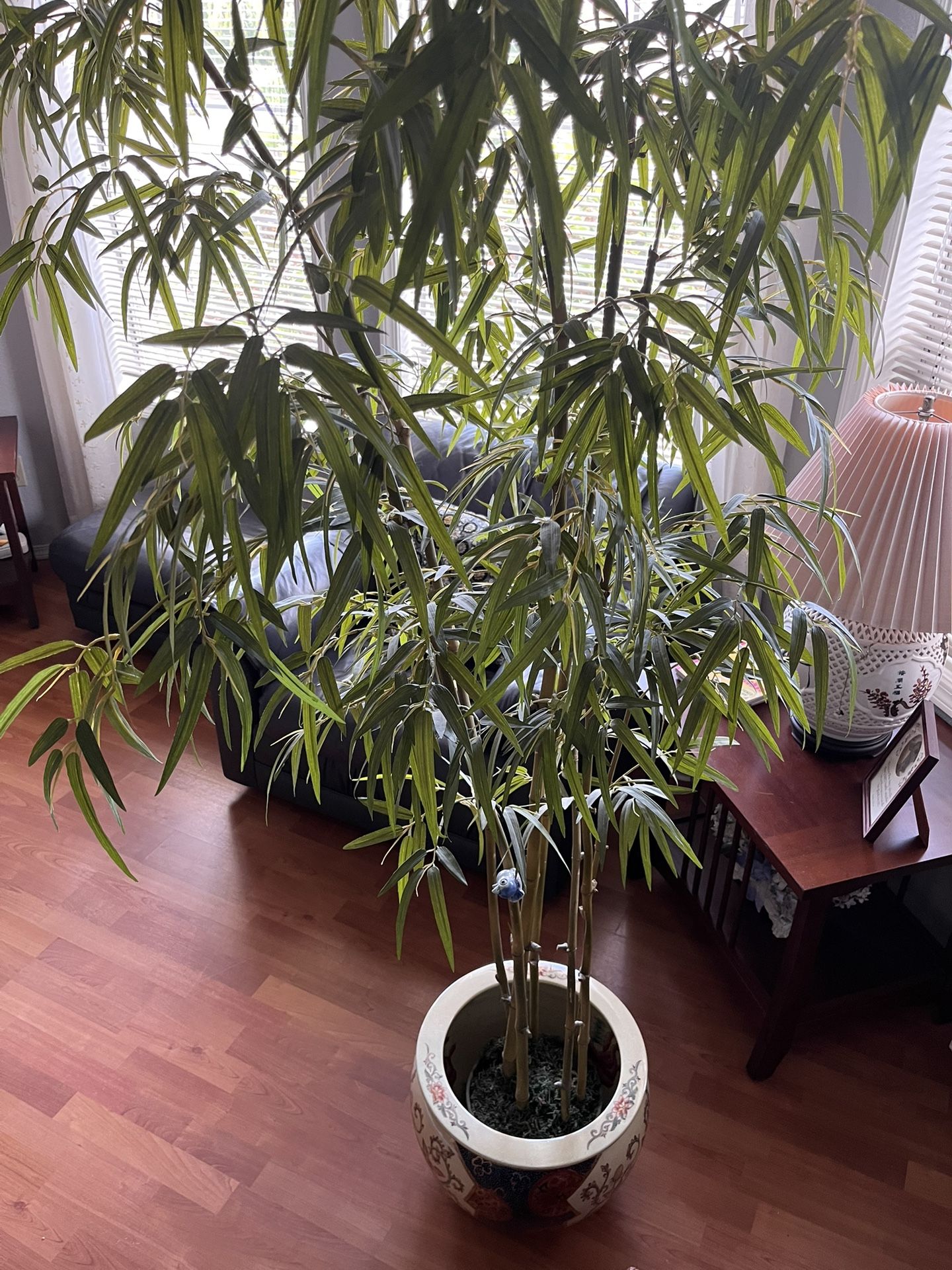 TALL  BAMBOO PLANT AND LARGE  POTTERY