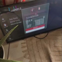 33" LG TV Broken