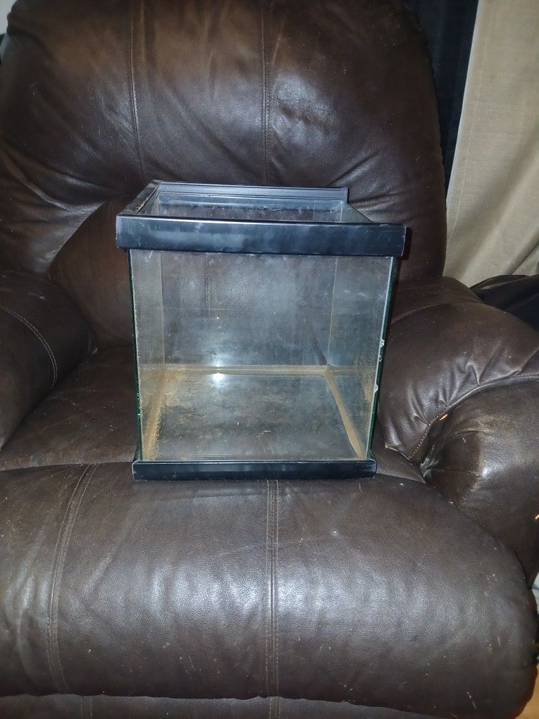 10 Gallon Tank