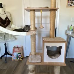 Cat Tree