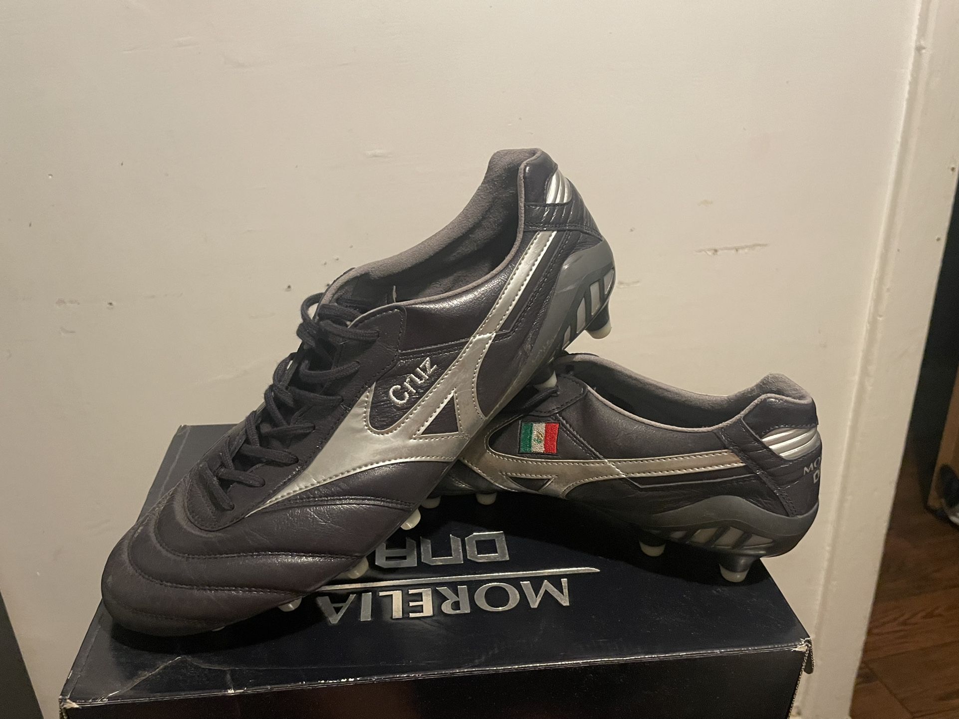 Mizuno Morelia DNA
