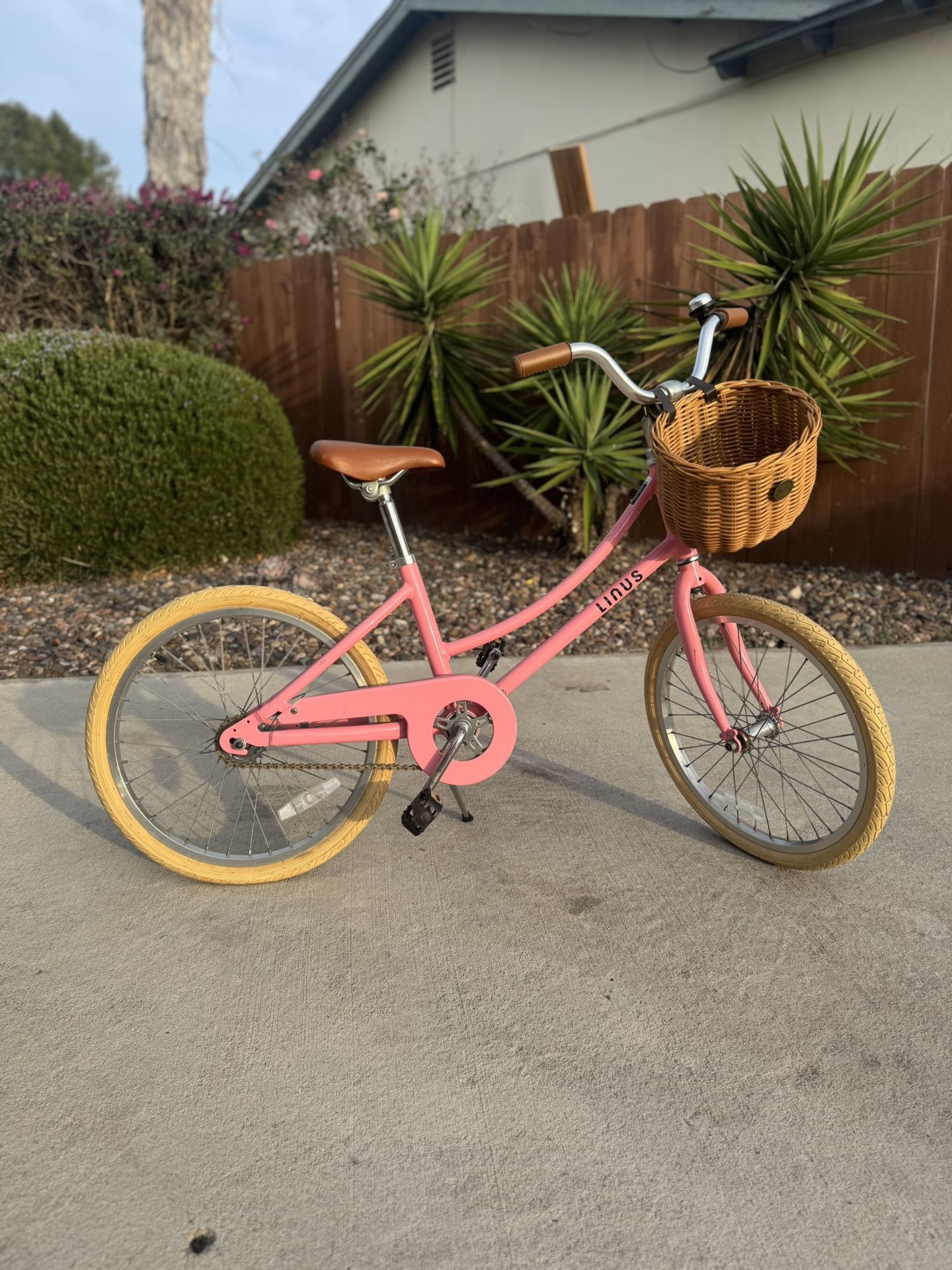 Children’s 20” Linus Lil Dutchi