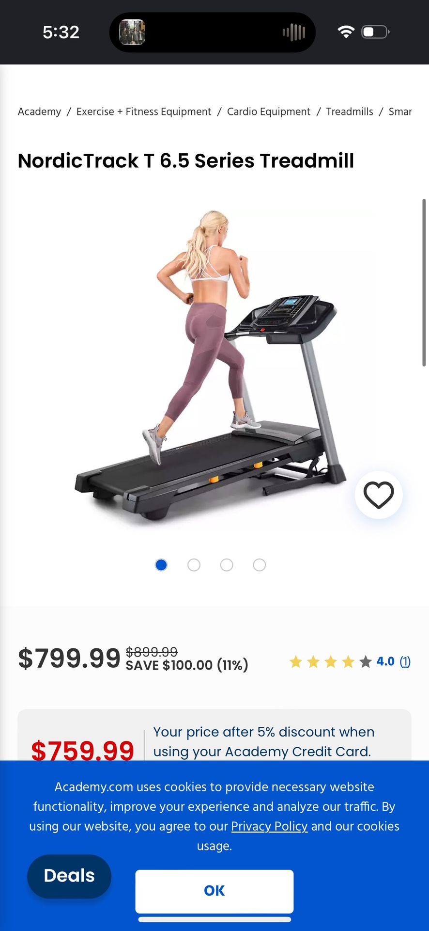 Nordic Treadmill