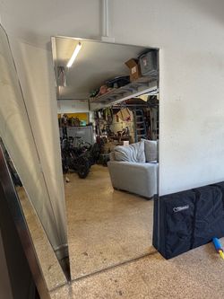Full length Mirror closet doors, rolling