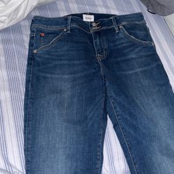 Mens Hudson Jeans Size31