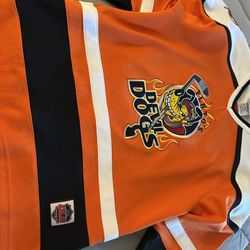 Disney Pluto Devil Dogs Jersey 