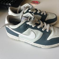 Nike Dunks Kids