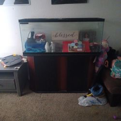 55 Gallon Fish Tank W/ Stand