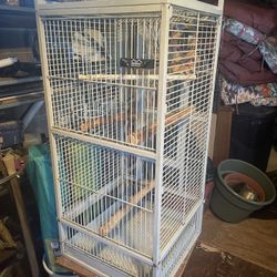 Bird Cage