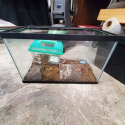 3 10 Gallon Aquariums And 10 Gallon Terrarium