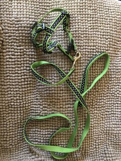 Cool gently used small harness and 6’ matching leash