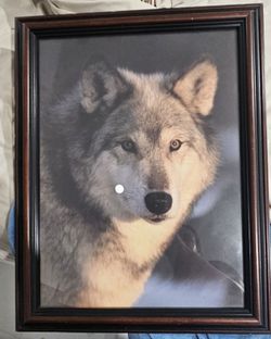 This framed art print features a detailed portrait of a gray wolf within a dark wood frame.