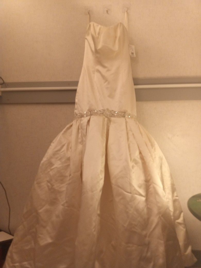 $3000.00 Wedding Dress