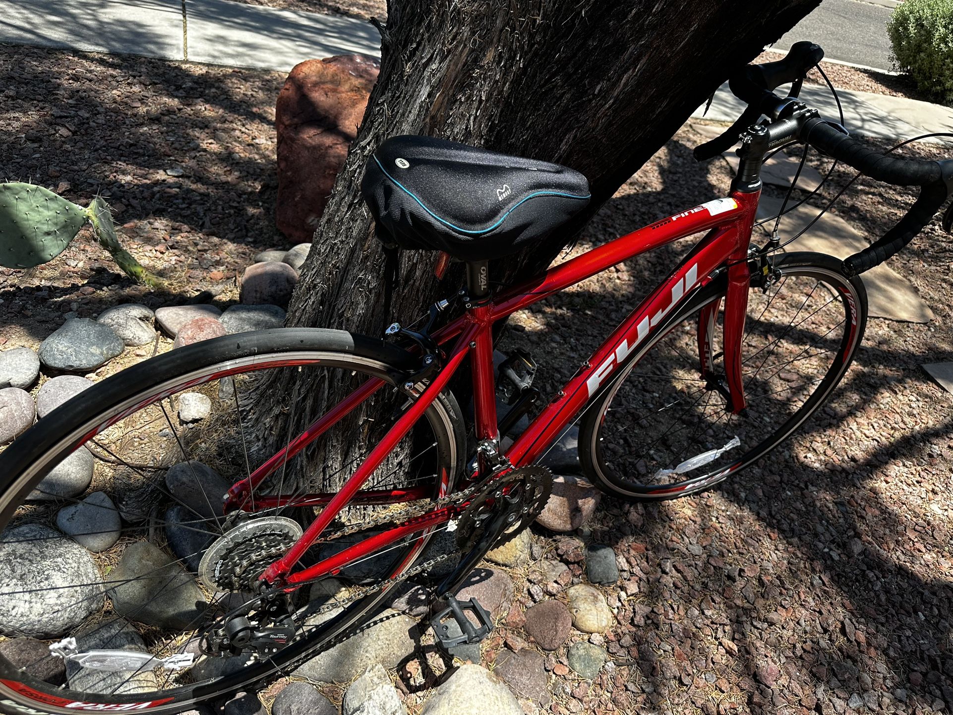 Fuji Bike For Sale