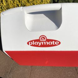 Igloo Cooler Playmate