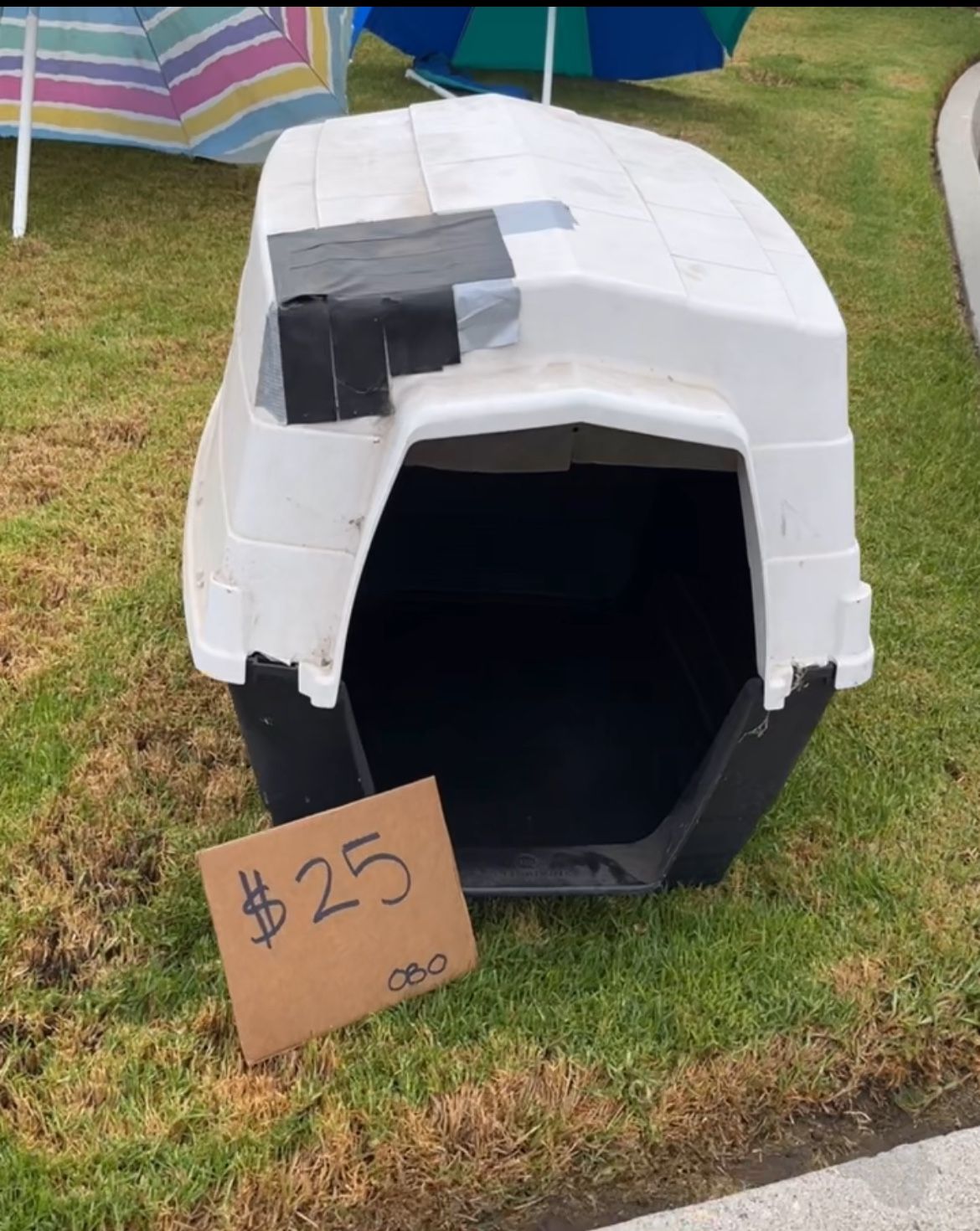 Dog House