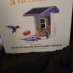AI detection solor  bird feeder with camera
